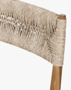 Ambler Indoor/Outdoor Dining Chair