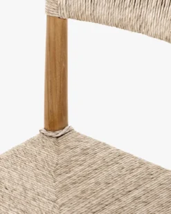 Ambler Indoor/Outdoor Dining Chair
