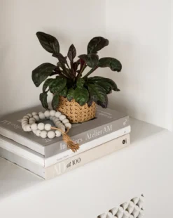 Architectural Digest at 100
