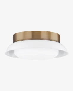Arnie Flush Mount