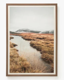 Autumn Marshes