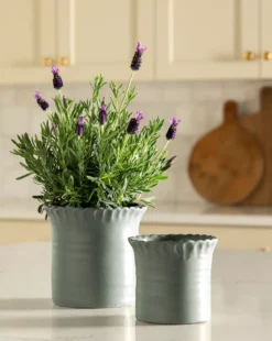 Blythe Pot