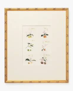 Botanical Grid 1
