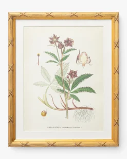 Botanical Study No. 2