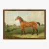 Brown Horse