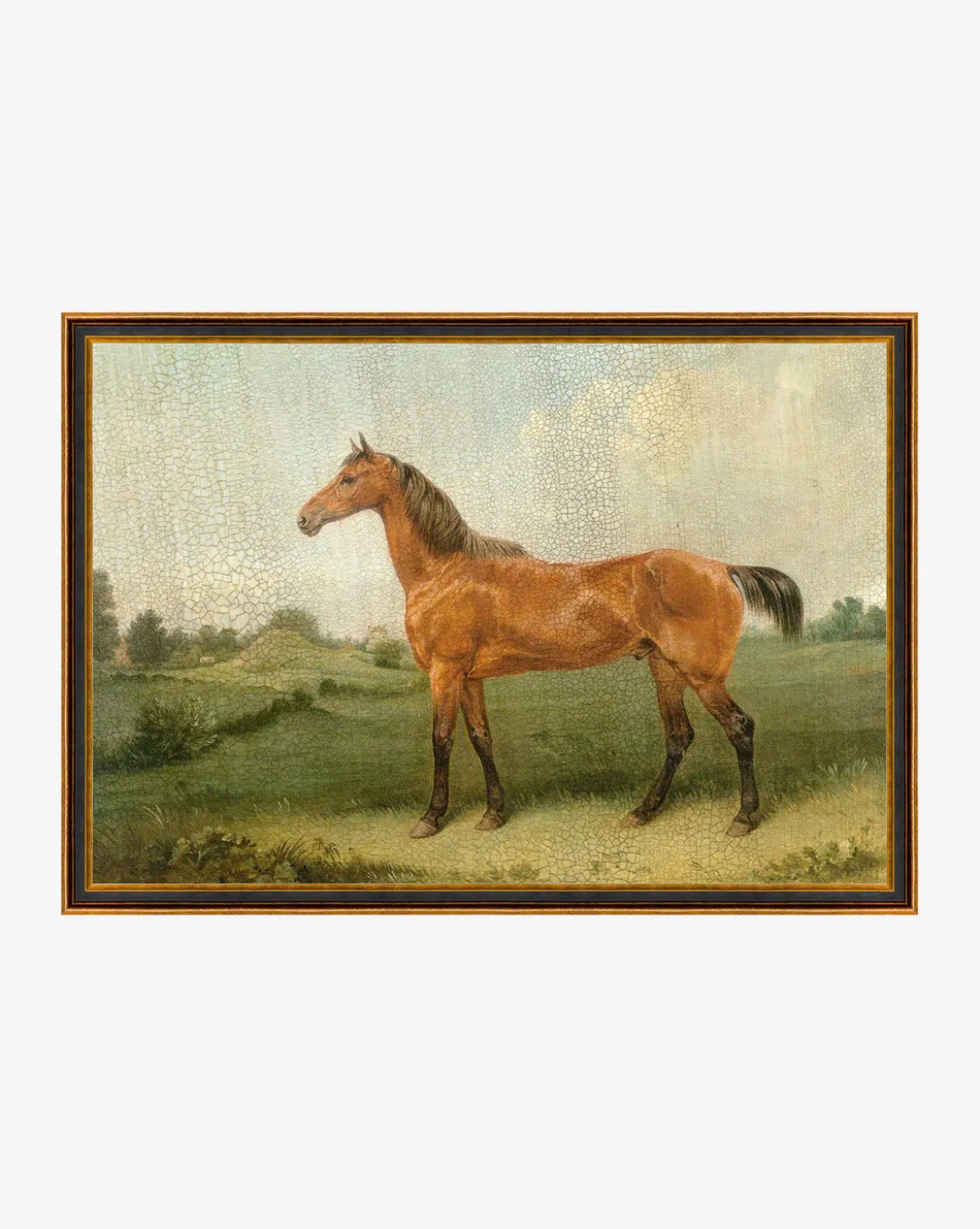 Brown Horse