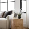 Burl Wood Side Table