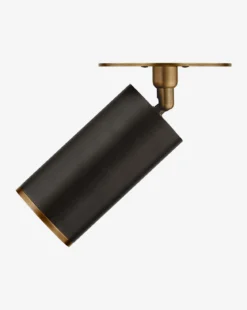 Caleb Flush Mount