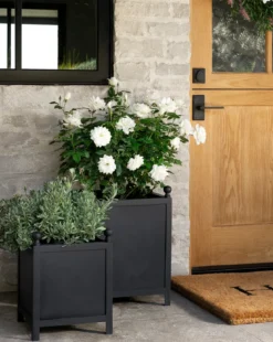 Clariance Planter