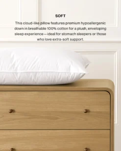Classic Down Bed Pillow
