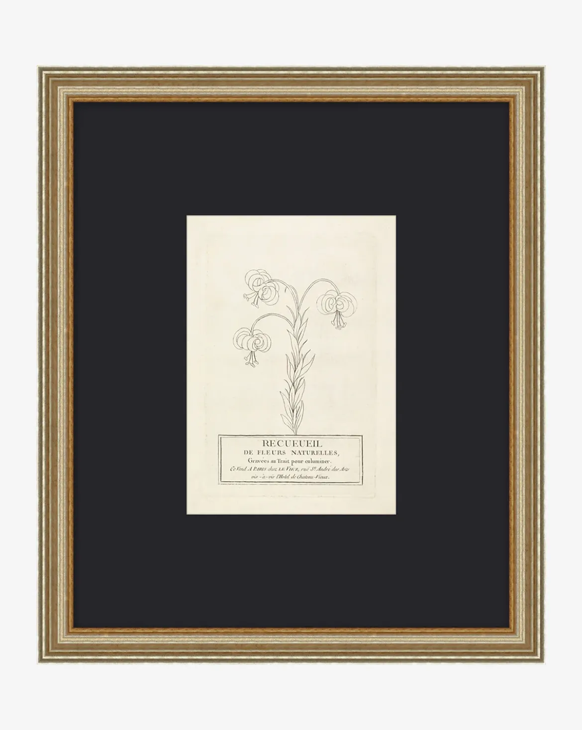 Collection Of French Flowers