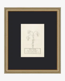 Collection Of French Flowers