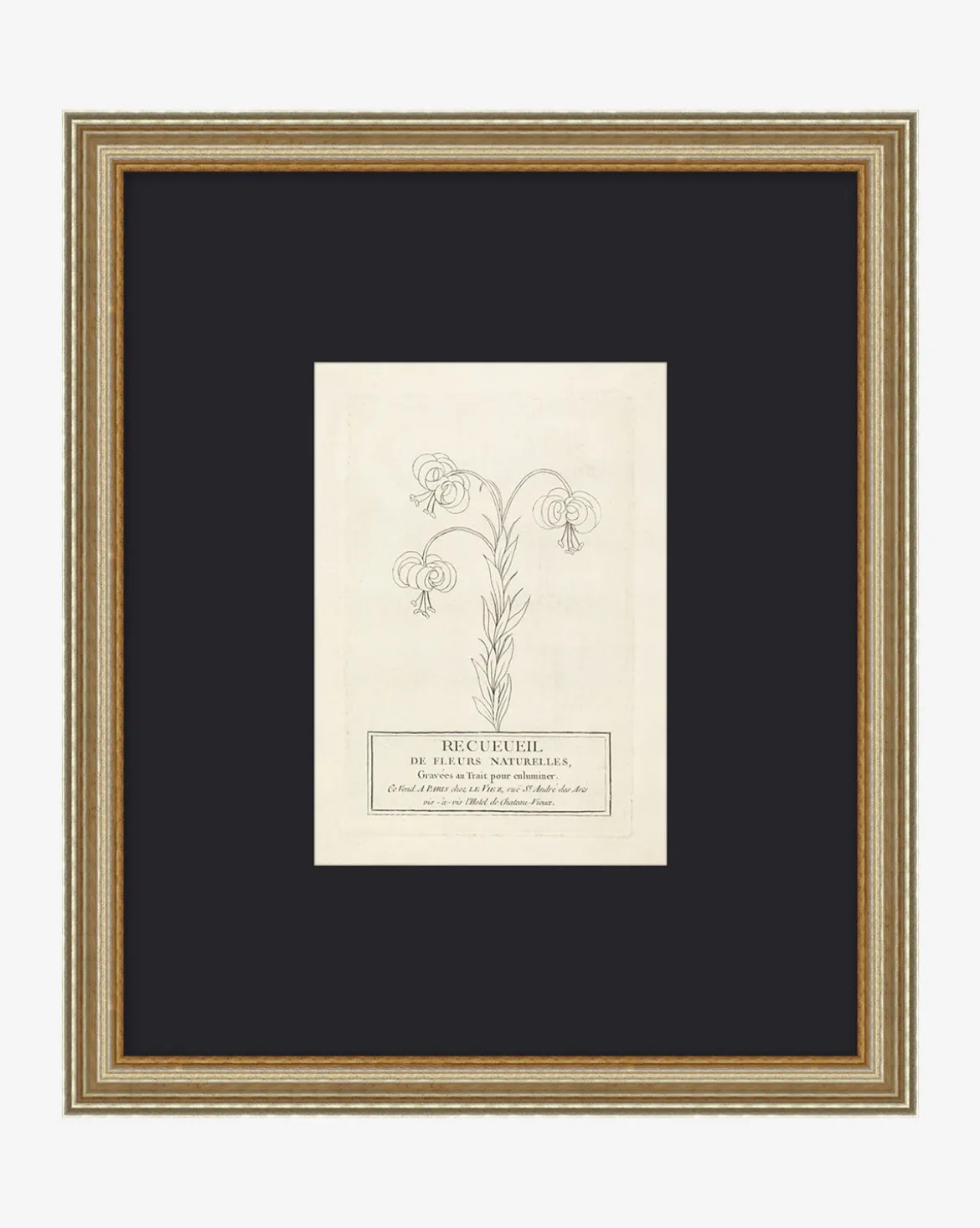 Collection Of French Flowers