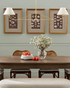 Conchology Study Triptych No. 3