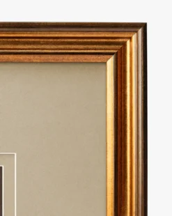 Conchology Study Triptych No. 3
