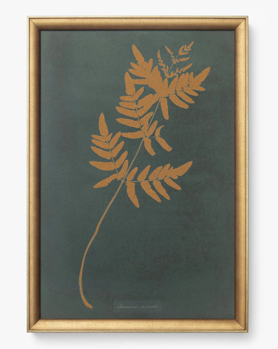 Copper Botanical 1