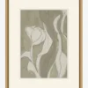 Delicate Tulip II by Rebekah Webb