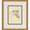 Equine Lines 1