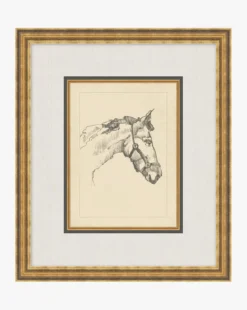 Equine Lines 1