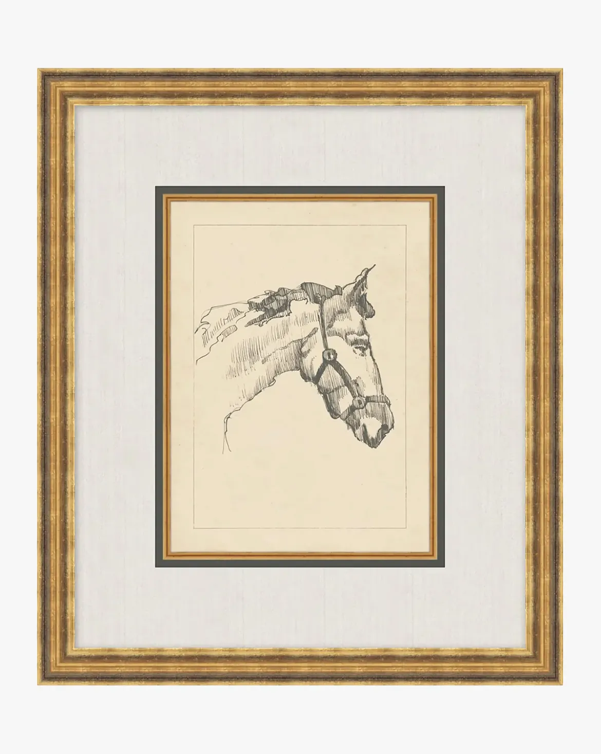 Equine Lines 1