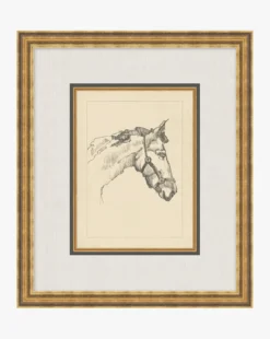 Equine Lines 1