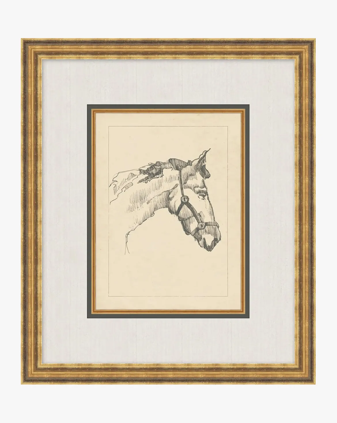 Equine Lines 1