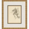 Equine Lines 3