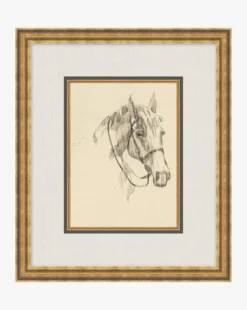 Equine Lines 3