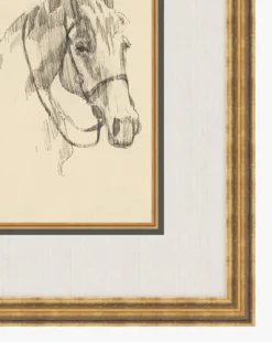 Equine Lines 3
