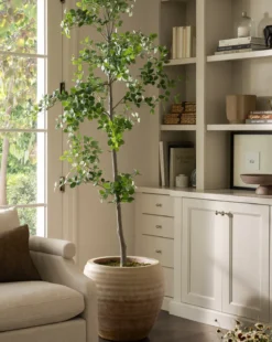 Faux Cascalote Tree