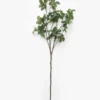 Faux Japanese Quince Stem
