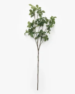 Faux Japanese Quince Stem