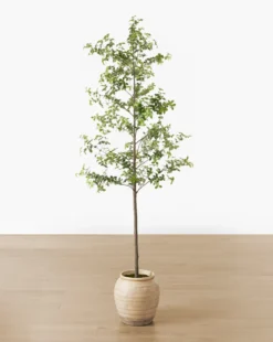 Faux Japanese Quince Tree
