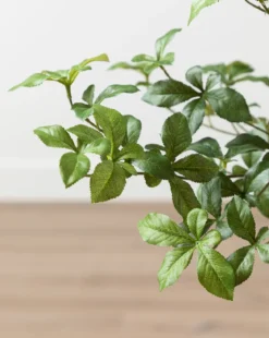 Faux Japanese Quince Tree