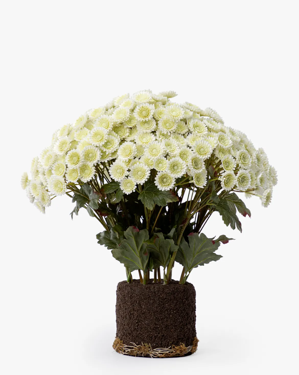 Faux Mum Drop-In
