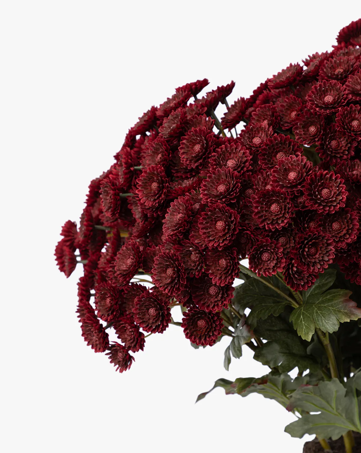 Faux Mum Drop-In