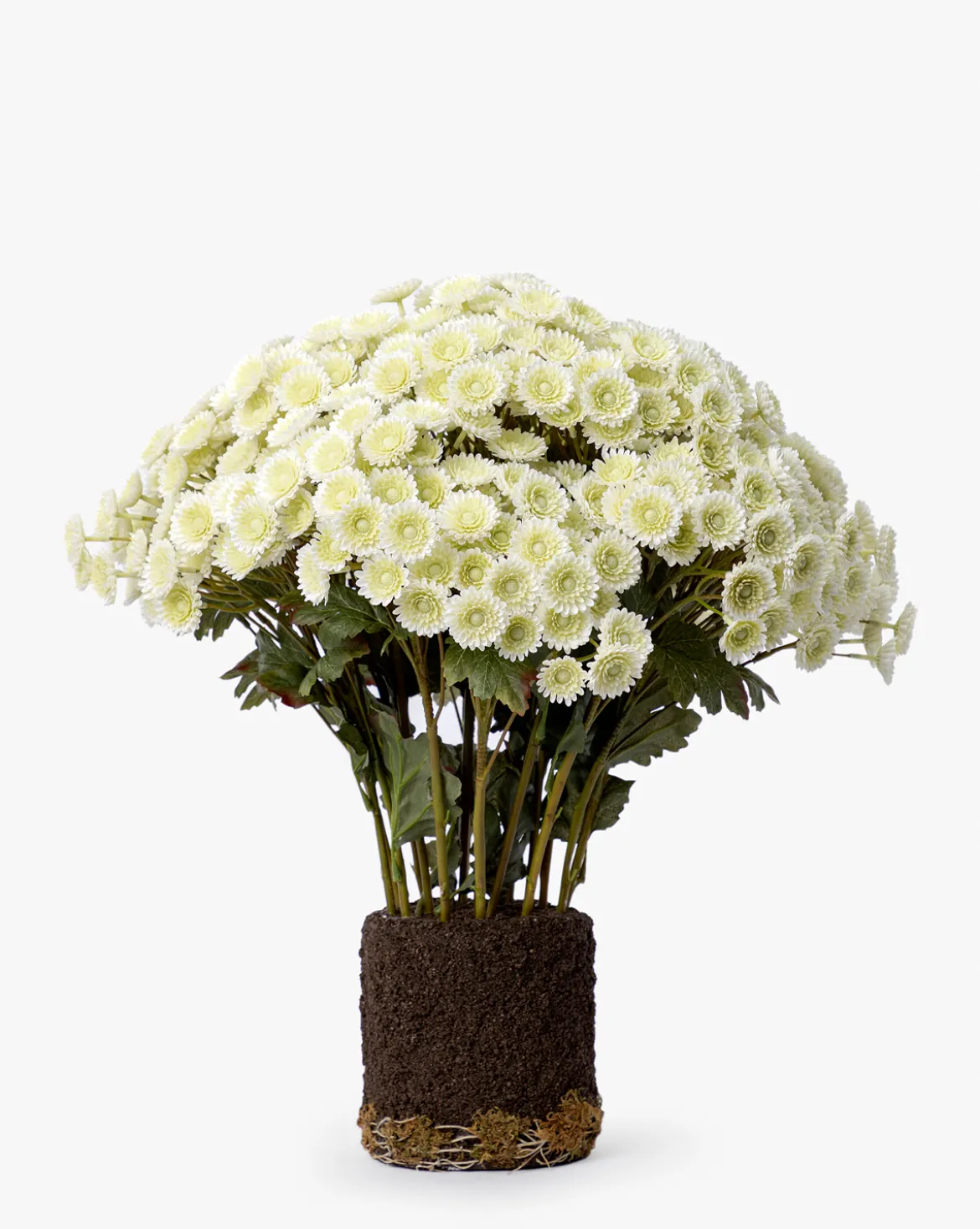 Faux Mum Drop-In