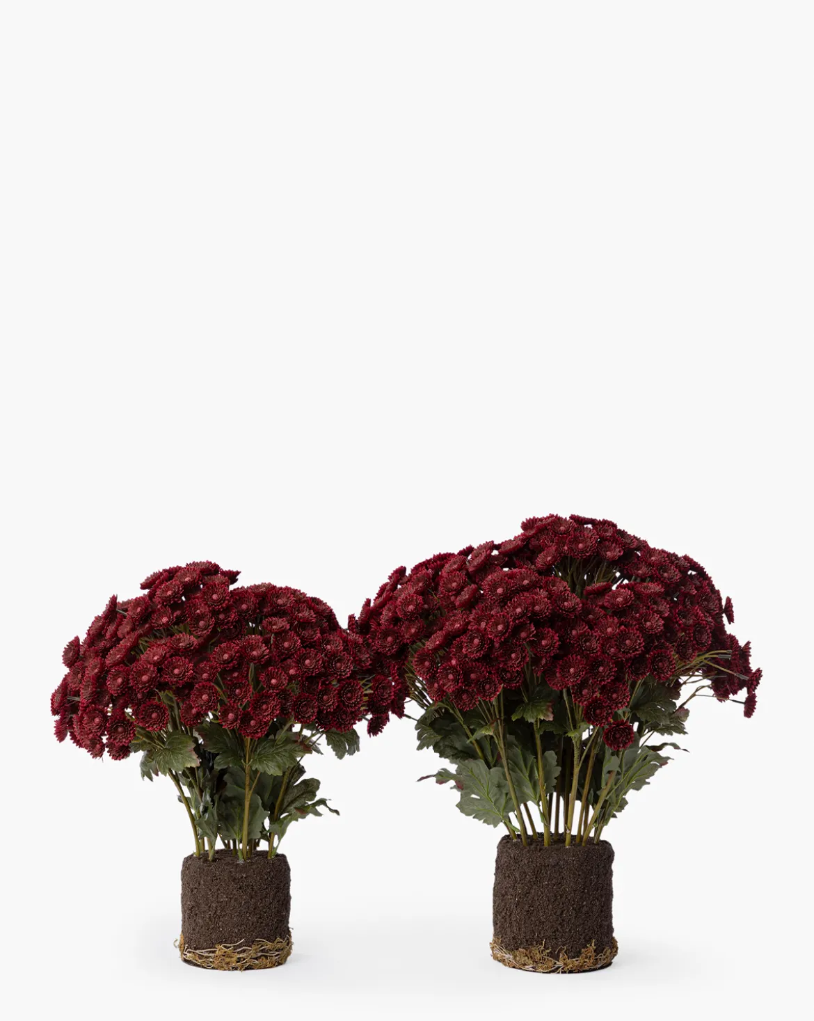 Faux Mum Drop-In
