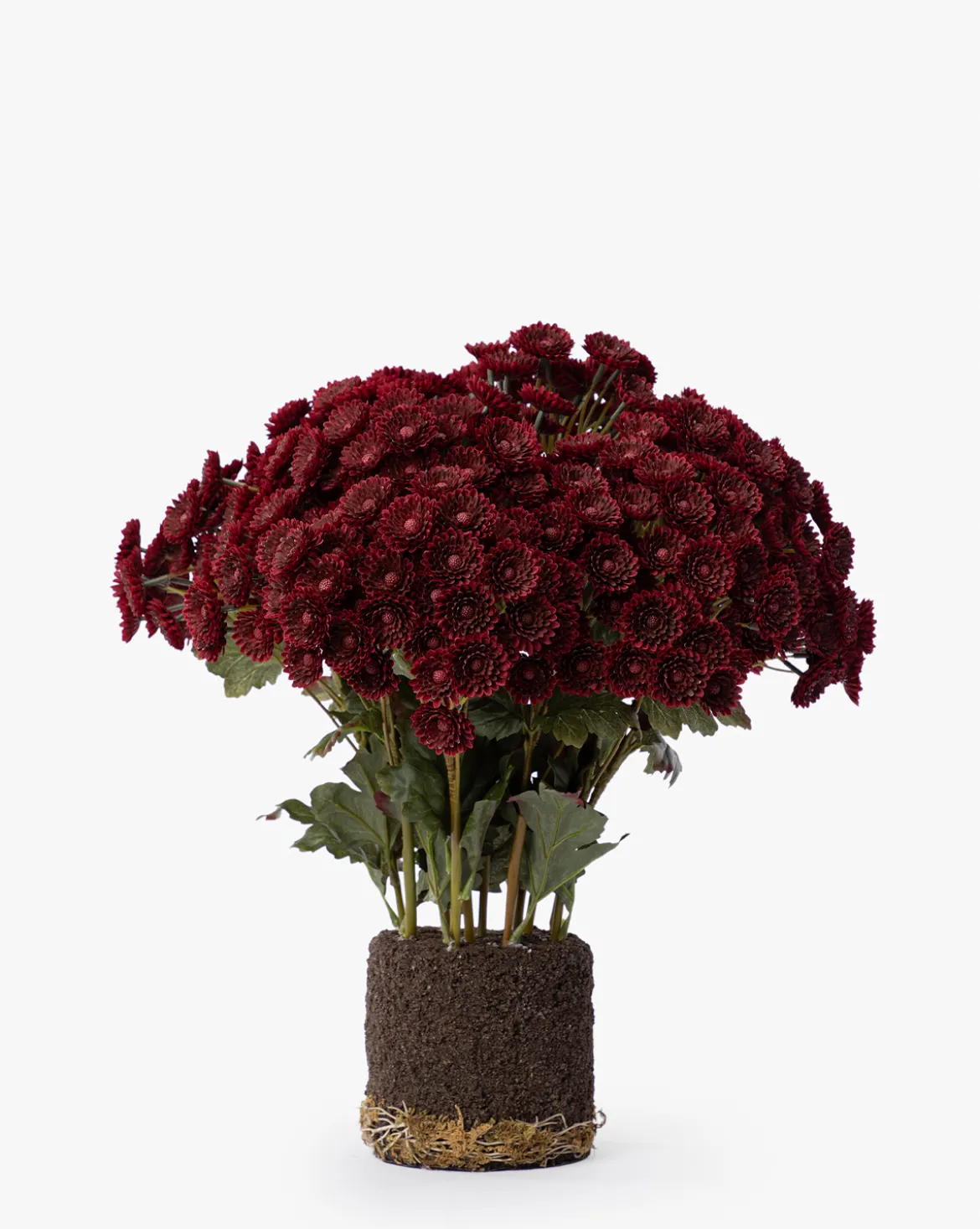 Faux Mum Drop-In
