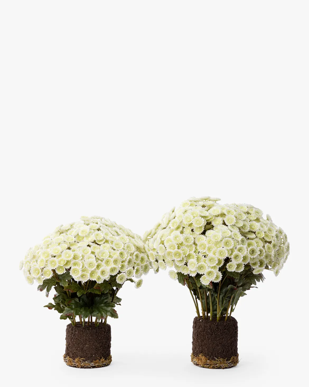 Faux Mum Drop-In