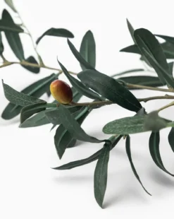 Faux Olive Branch