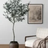 Faux 72" Olive Tree with Ceramic Pot