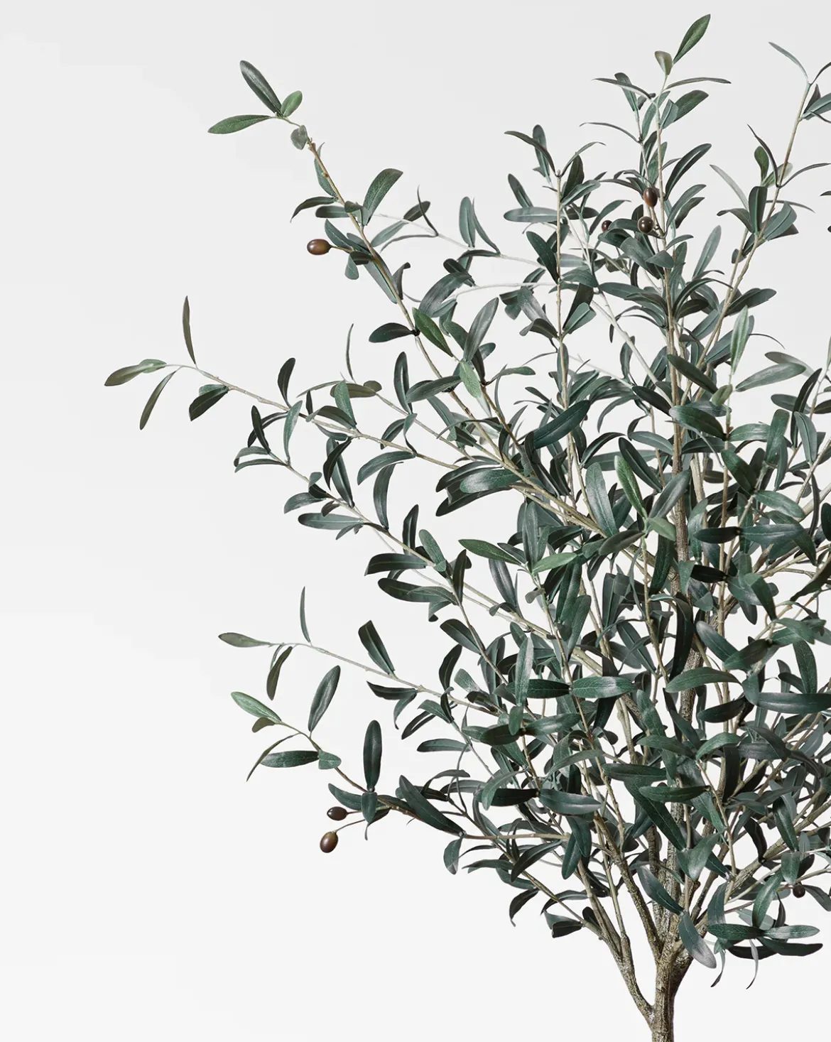 Faux 72" Olive Tree with Ceramic Pot