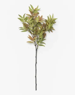 Faux Seeded Eucalyptus Stem