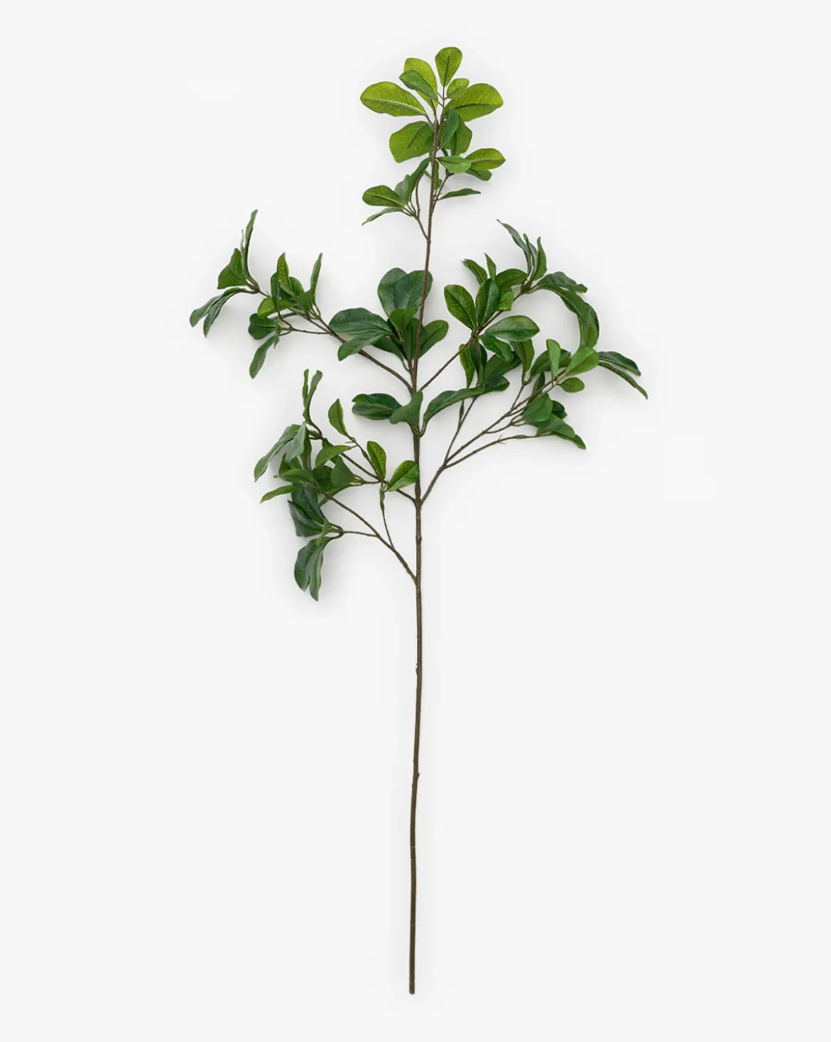 Faux Shady Lady Stem