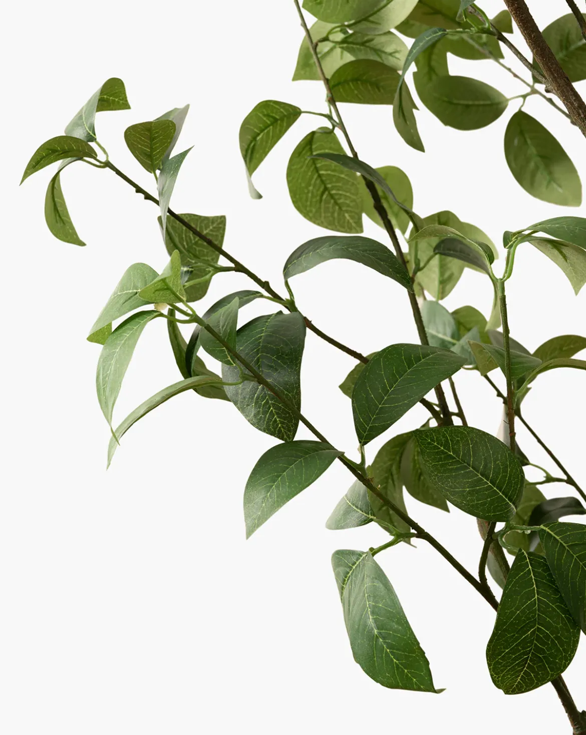 Faux Tangerine Tree