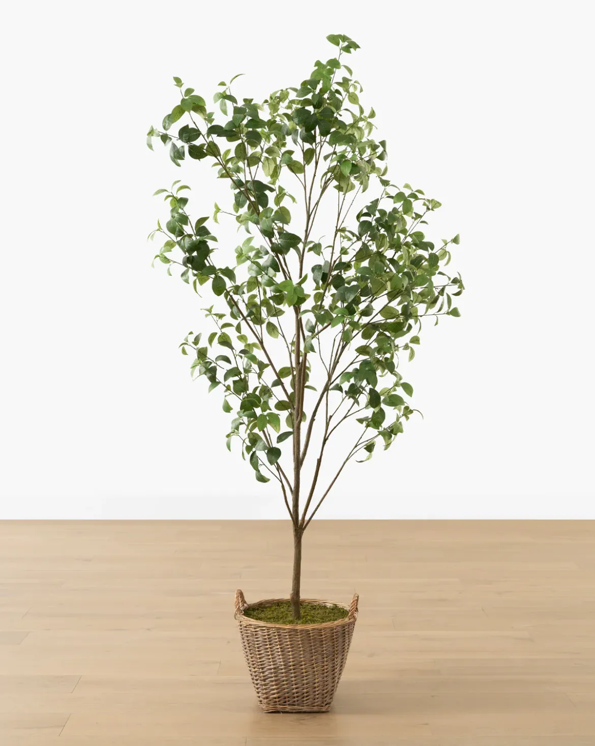 Faux Tangerine Tree
