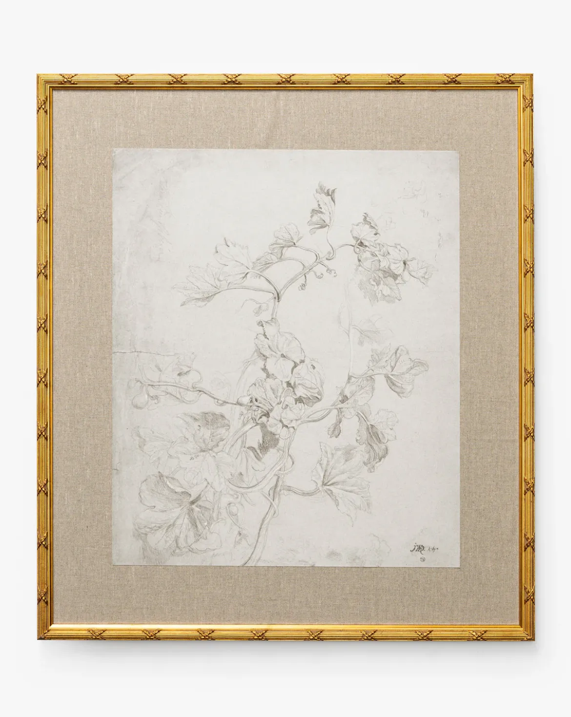 Feathery Floral