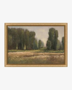 Field in Summer
