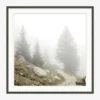 Foggy Mountain I